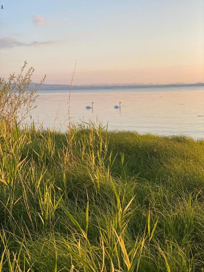 Wohlfuehl-Apartment Auenwald Im Naturschutzgebiet Mit Privatstrand FDH Eksteriør bilde
